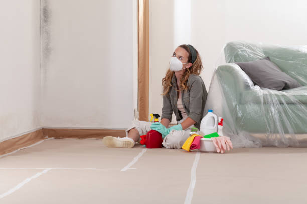 Reliable Mold Removal contractor in Traverse City, MI by Car Mold Remediation